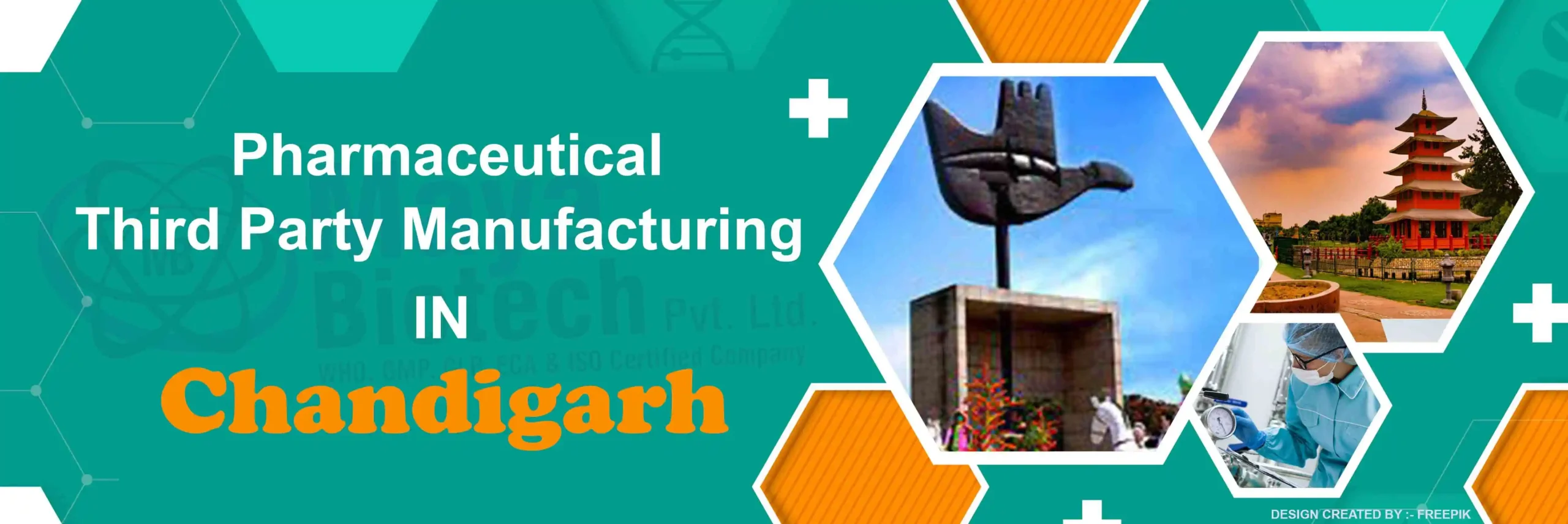 Pharmaceutical Manufacturers in India